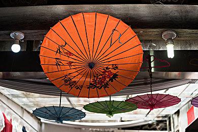 休闲建造新游《路纳的钓鱼花园》上市 开启首周优惠